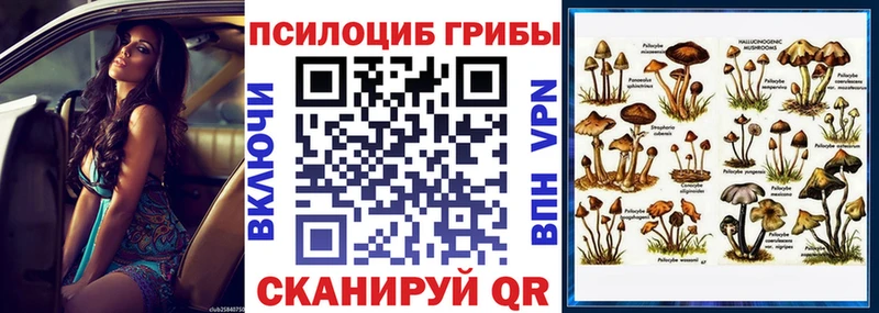 Галлюциногенные грибы MAGIC MUSHROOMS  Холмск 