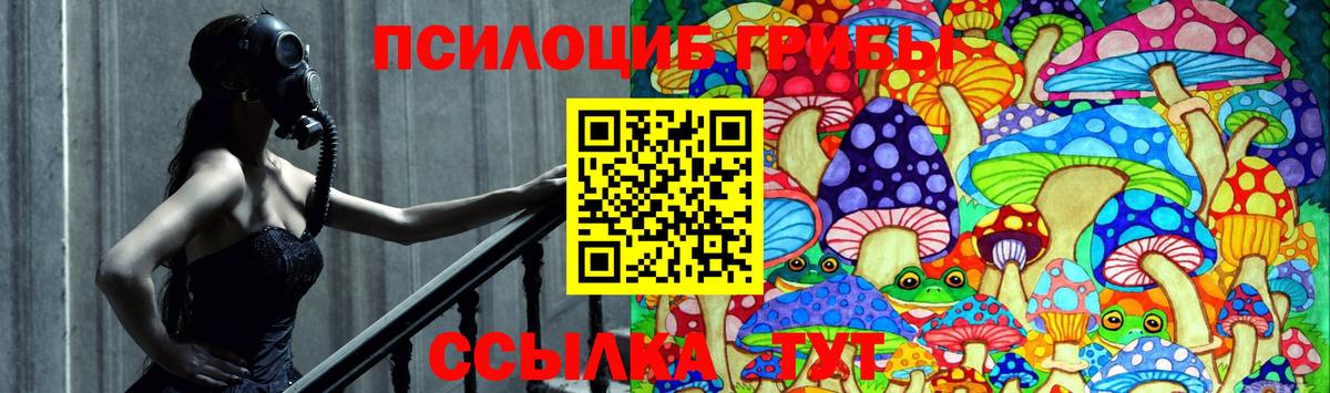 закладки  Галлюциногенные грибы Psilocybine cubensis  Вход с VPN  Холмск  Галлюциногенные грибы мицелий 